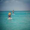 lucyhale Altpins Profile Picture