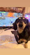 bexicutes Altpins Profile Picture