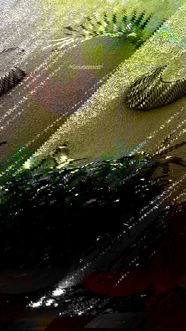 taylor.creeden taylor.creeden archive image