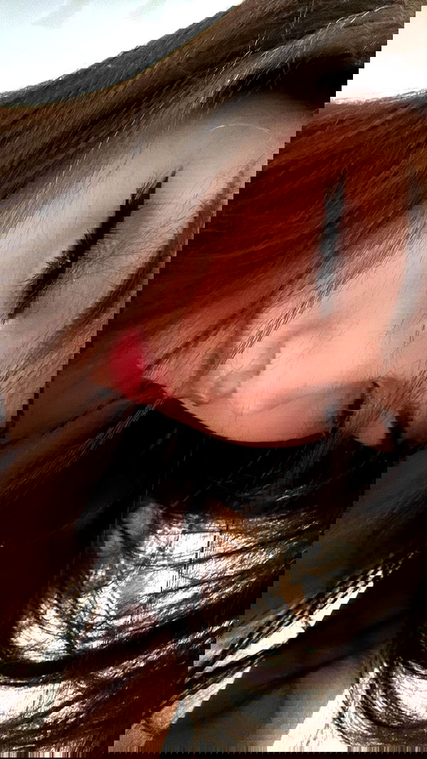 xeiyza image ~ Altpins