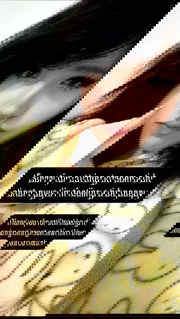 chibinekopurr chibinekopurr archive image