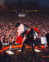 xtina Altpins Profile Picture