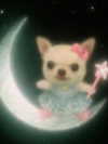 violetpau_ Altpins Profile Picture