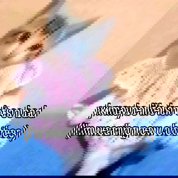 missnyxdawn missnyxdawn archive image