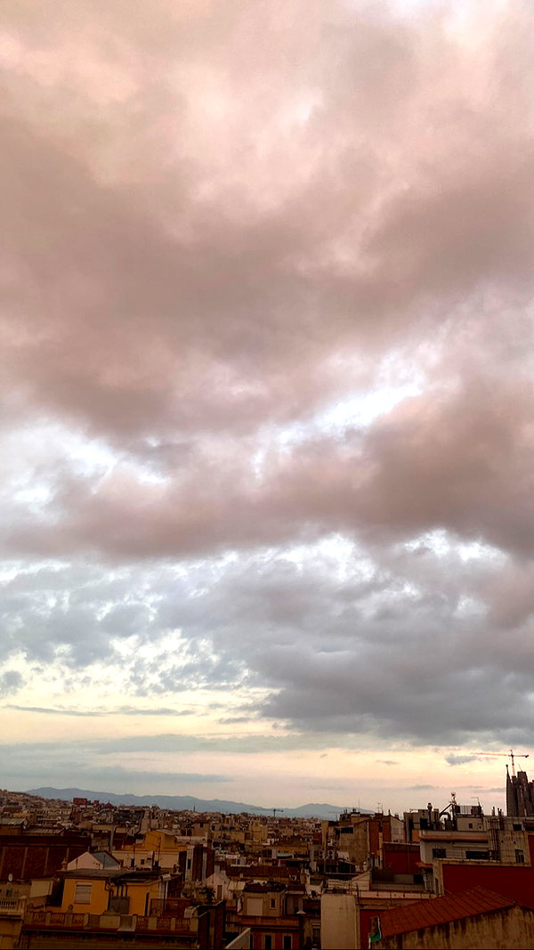 federica.piccinni instagram image archive image