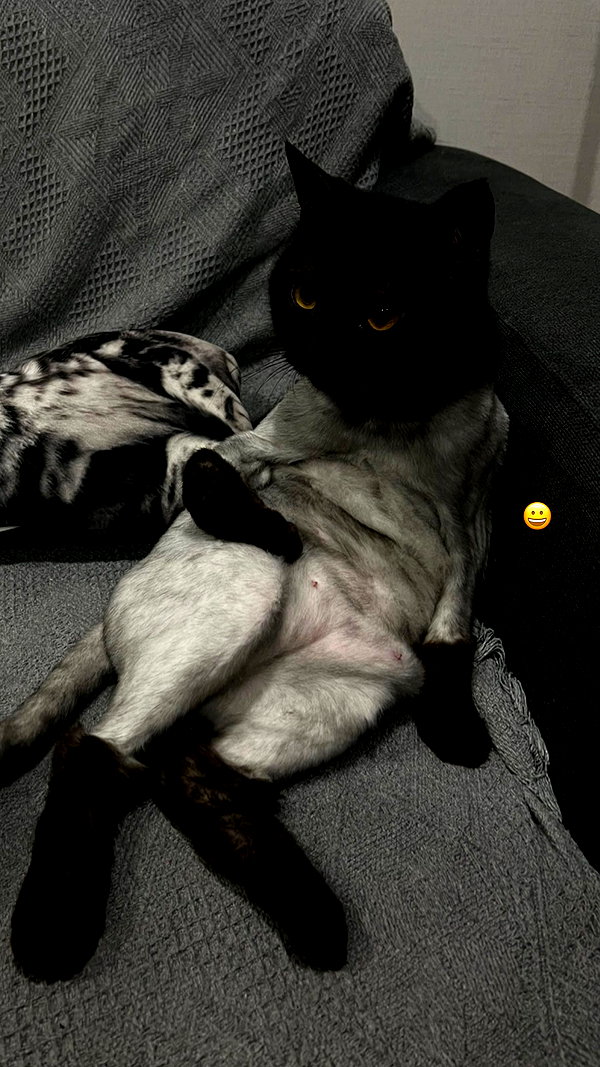Archived image from @nhuthuuy on Instagram