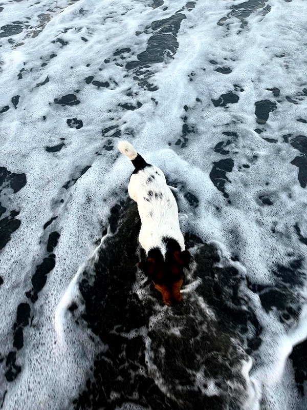 annabottoo instagram image archive image