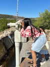 jariya_k_luban Altpins Profile Picture