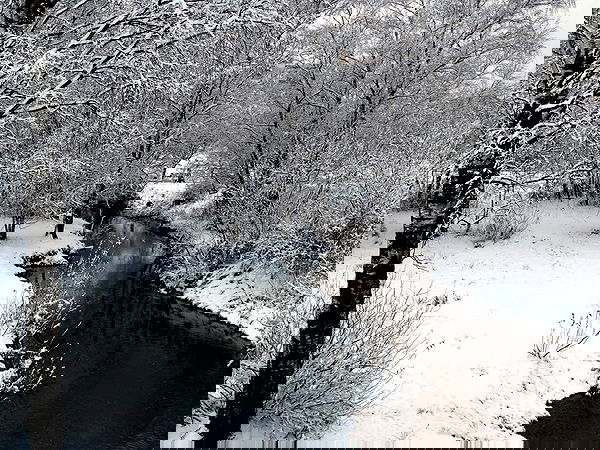 pinx_ir pinx_ir archive image