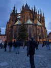 dustheadd Altpins Profile Picture