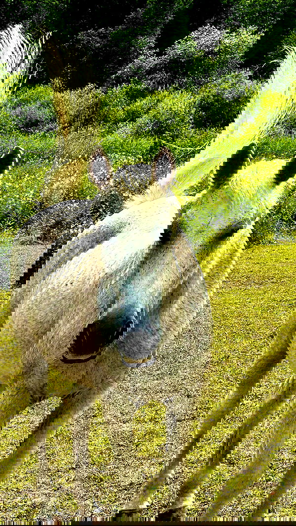 taylor.creeden taylor.creeden archive image