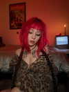 antijuls Altpins Profile Picture