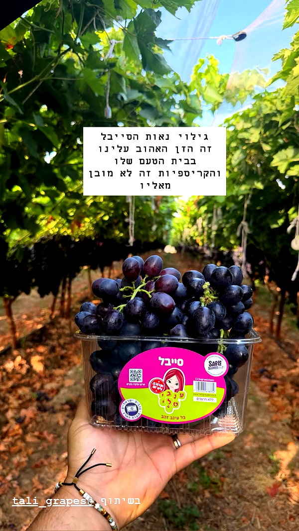 tali_grapes instagram image archive image