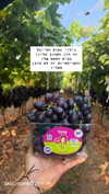 tali_grapes Altpins Profile Picture