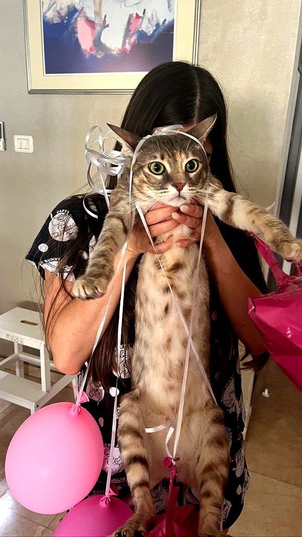 Archived image from @notchicore on Instagram