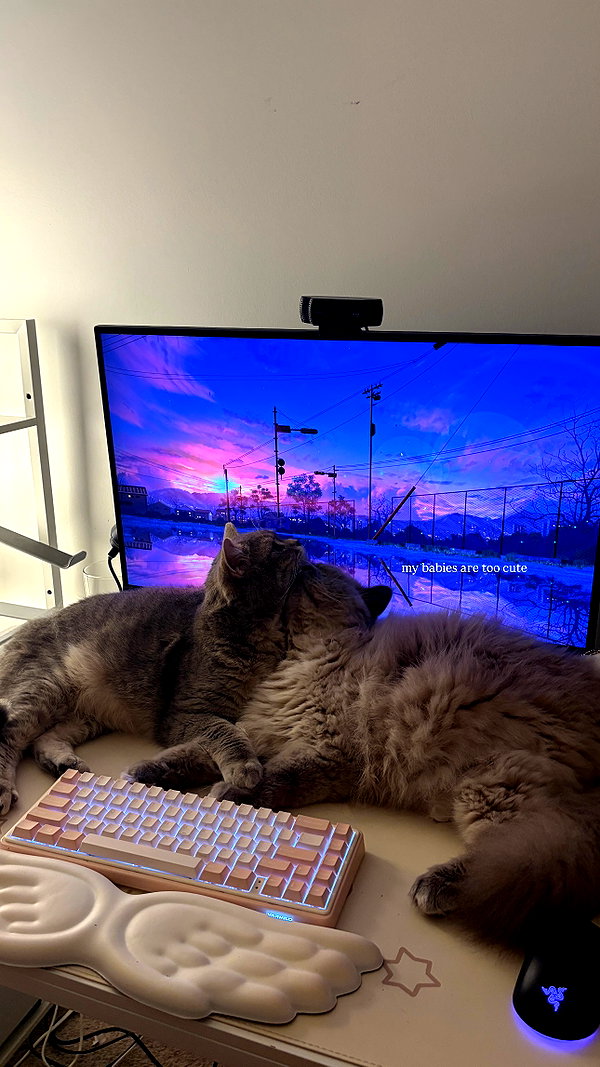 Archived image from @hwriyu on Instagram
