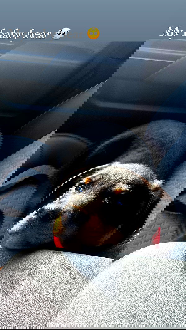 cyberbunniex cyberbunniex archive image