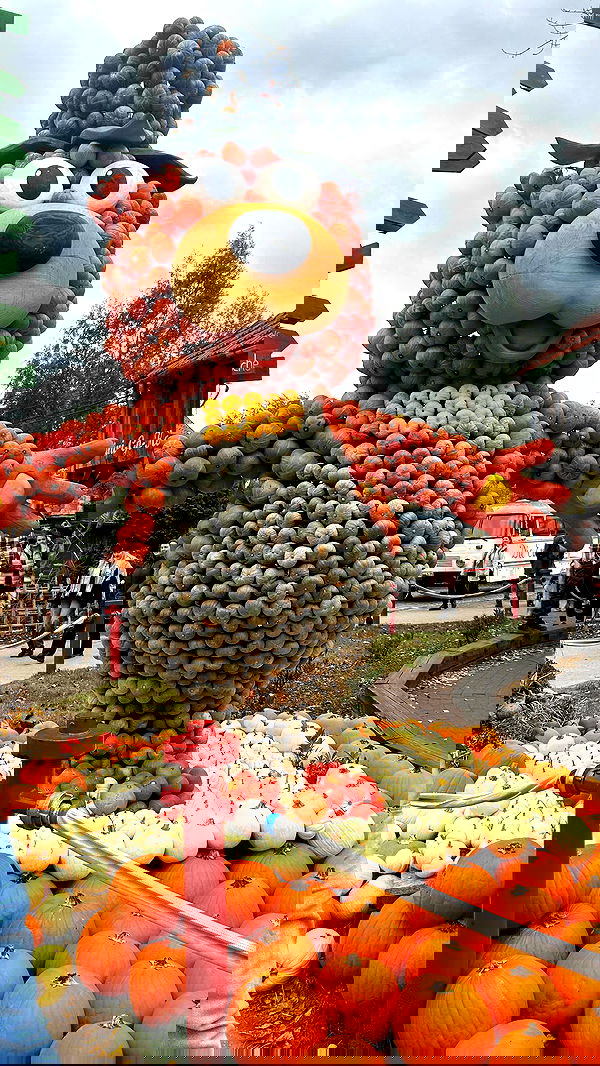 ormosheee ormosheee archive image