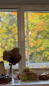 miikheeva_stasiiya Altpins Profile Picture