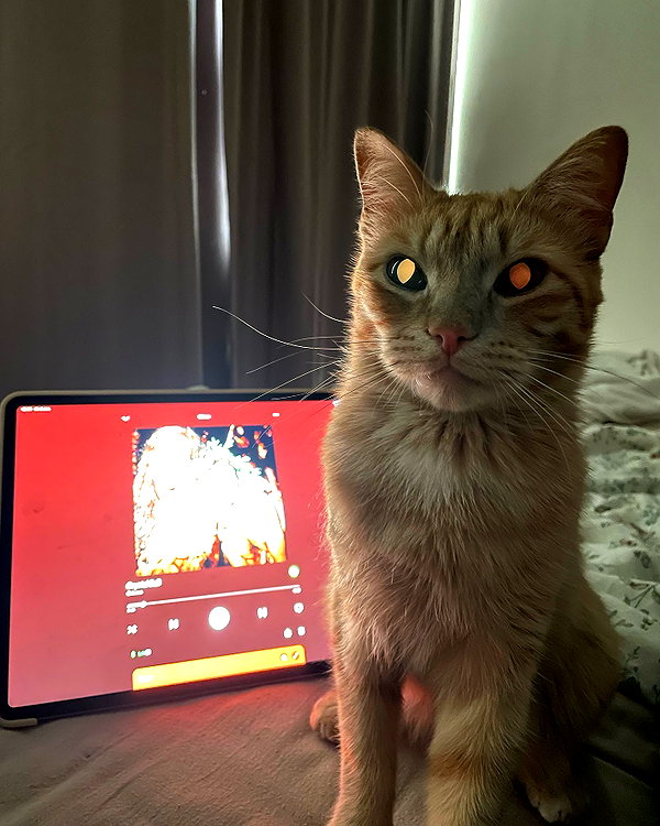 owlydiaa instagram image archive image
