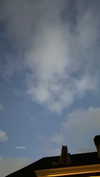 lizrrossi Altpins Profile Picture