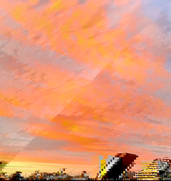 jtilb2 image ~ Altpins