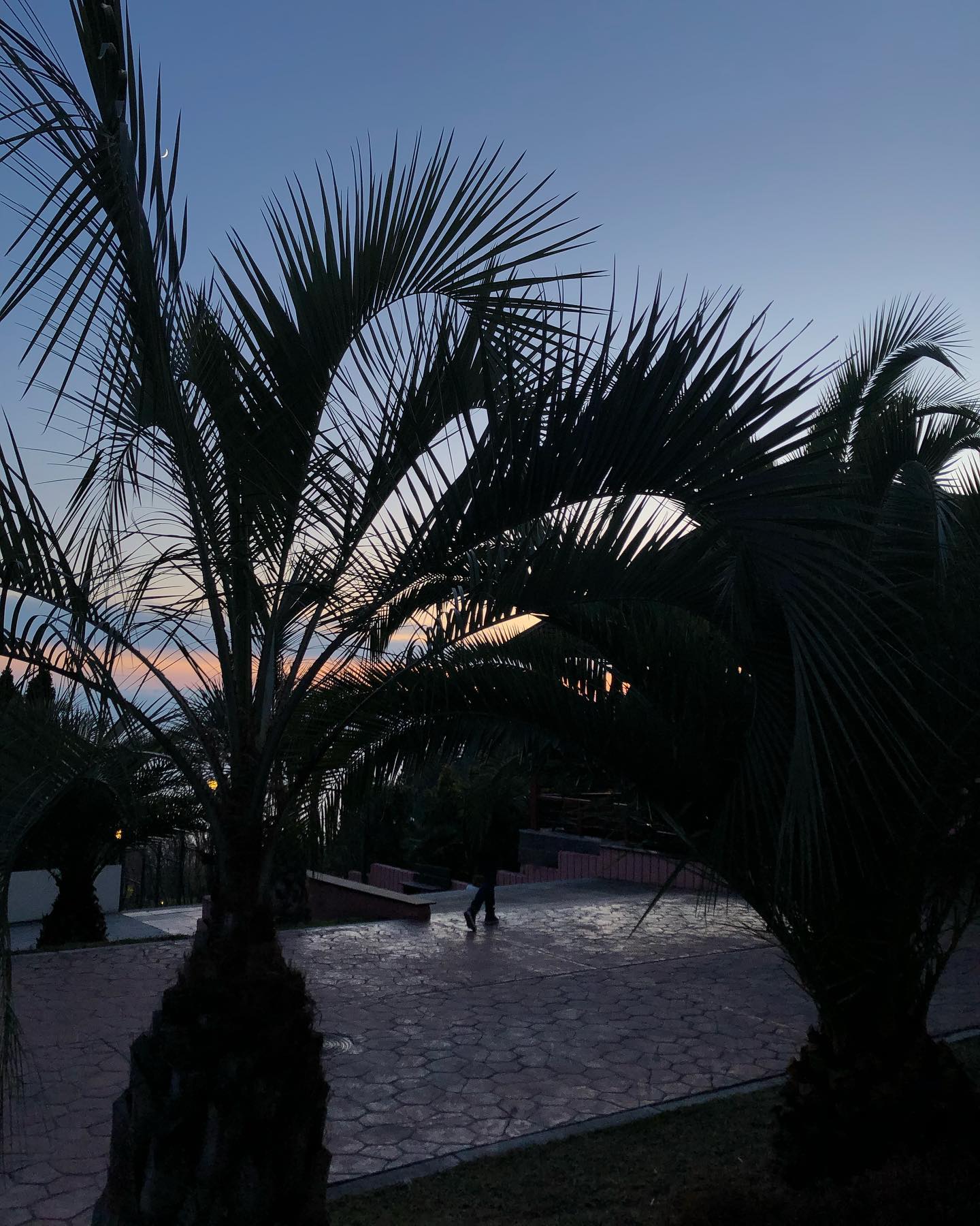 kkulakovaa instagram image archive image