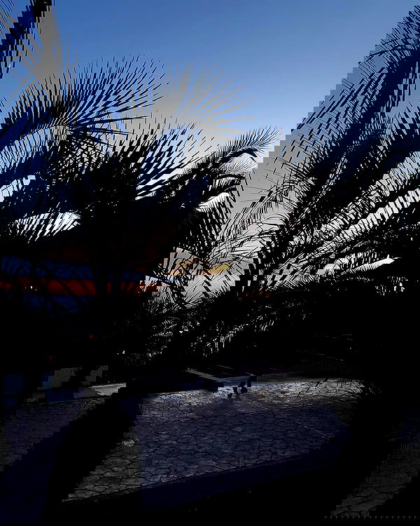 kkulakovaa image ~ Altpins