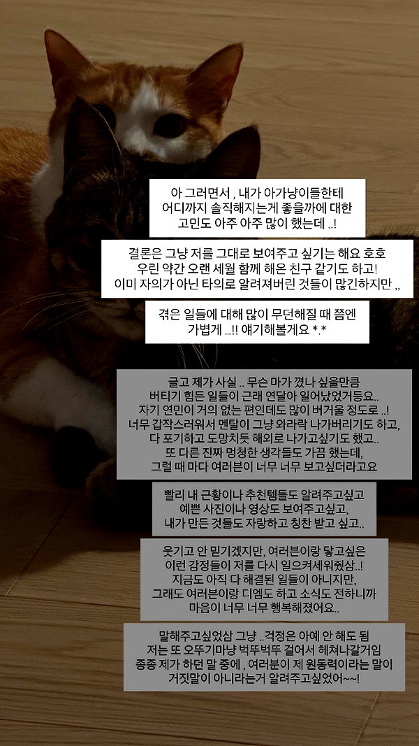 daxbin instagram image archive image