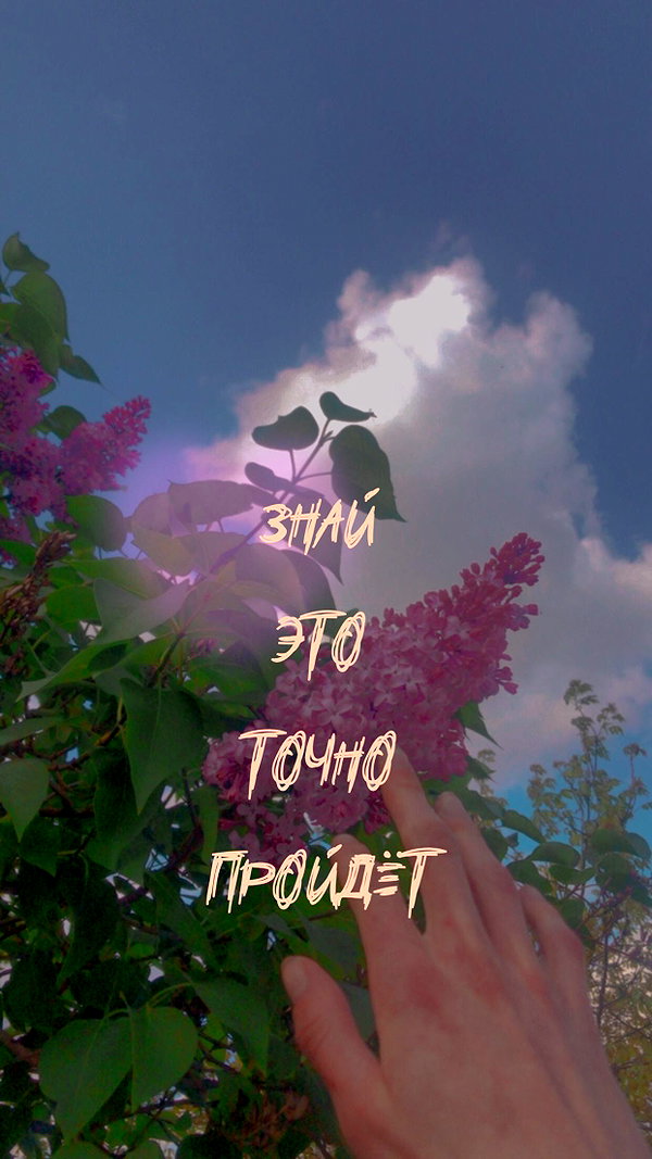 alisen.mari instagram image archive image