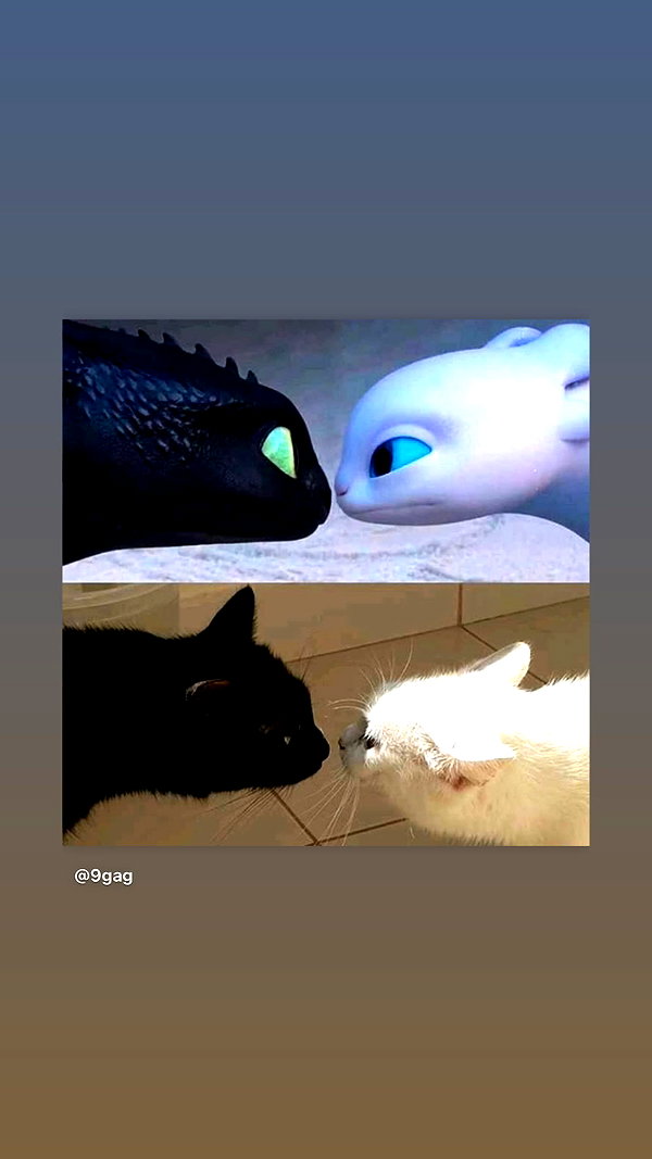 edenleiv instagram image archive image