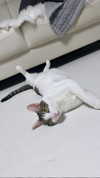 yuna_1_27 Altpins Profile Picture