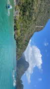 maori_cohen Altpins Profile Picture