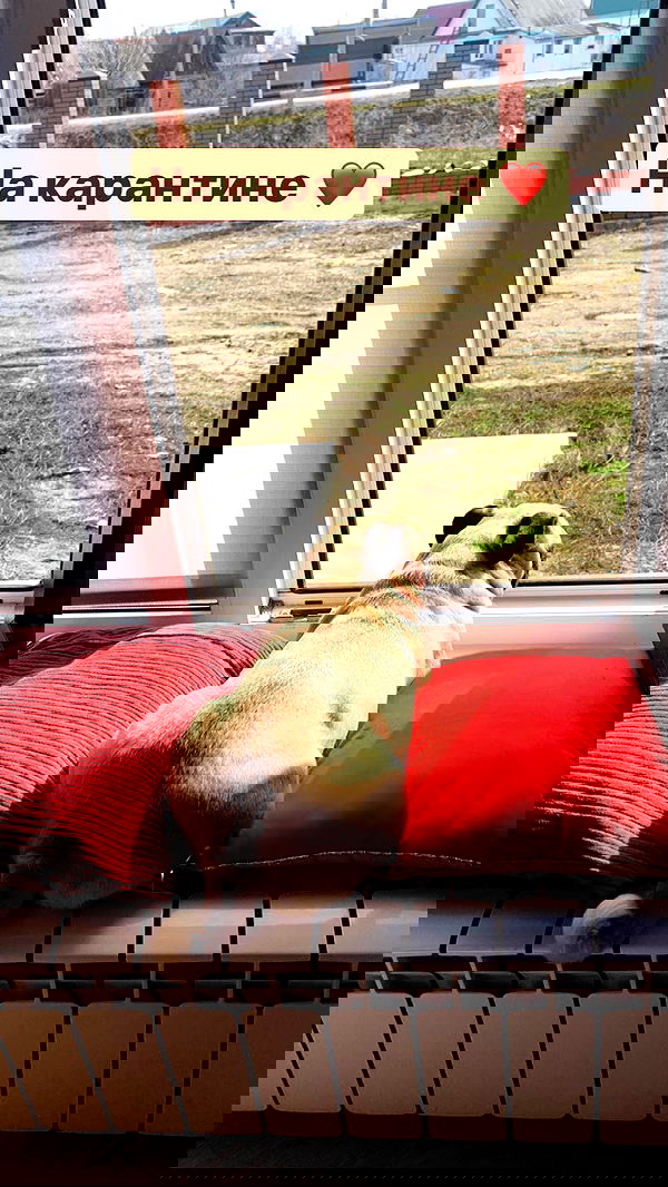 nyityam nyityam archive image