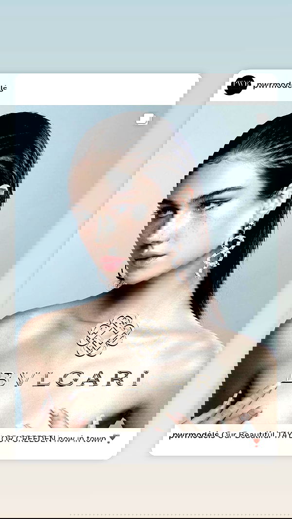 taylor.creeden taylor.creeden archive image