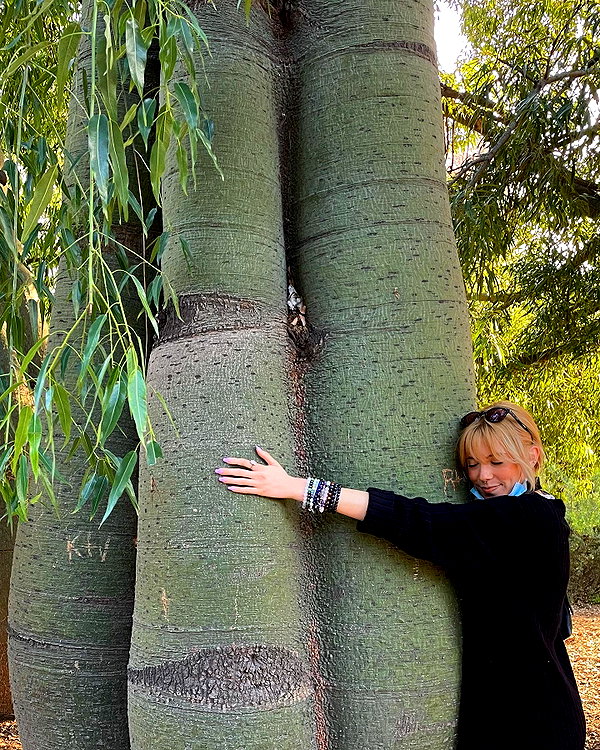 haileylayfield instagram image archive image