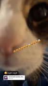 ronyida_ Altpins Profile Picture