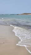 avital_1010.2003 Altpins Profile Picture