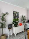 solzarubin_ Altpins Profile Picture