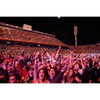 shakira Altpins Profile Picture
