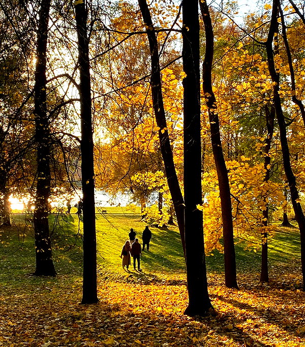 efimkovsskaya instagram image archive image