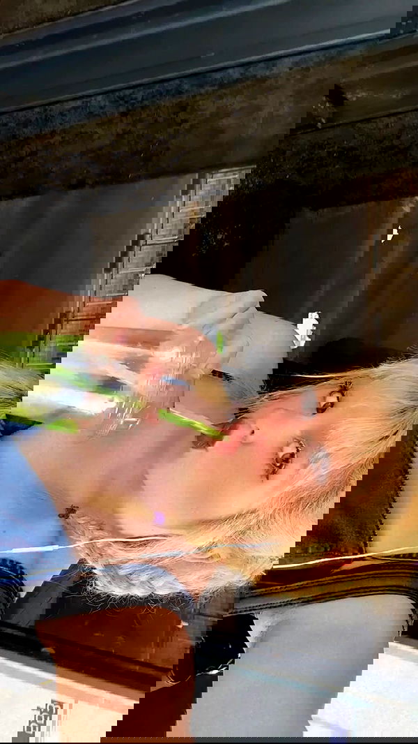 ormosheee ormosheee archive image