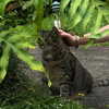 solveyyyy Altpins Profile Picture