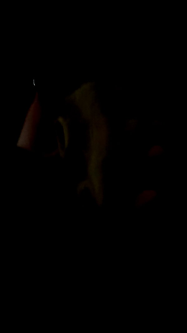 vampiryska archive image