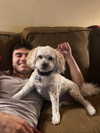 itsclairerice Altpins Profile Picture