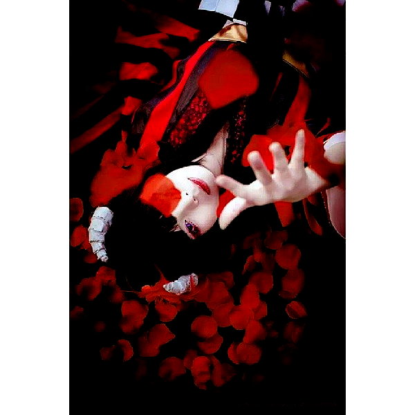 muze instagram image archive image