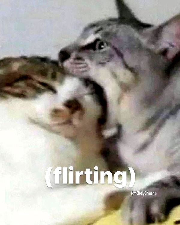 milkiwifey instagram image archive image