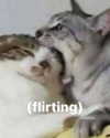 milkiwifey Altpins Profile Picture