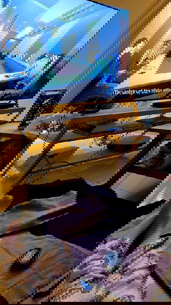 elianachetrit elianachetrit archive image