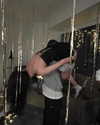 gisellelee8 Altpins Profile Picture